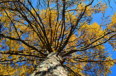 Similar image 22580298