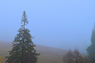 Similar image 22580299