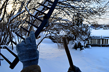 Similar image 22580302