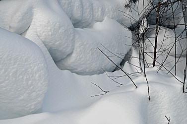 Similar image 22580305