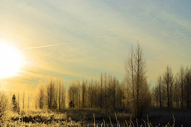 Similar image 22580308