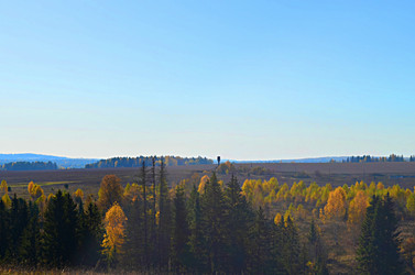 Similar image 22580309