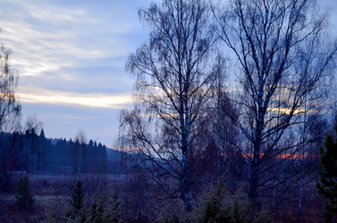 Similar image 22580311