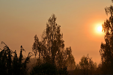 Similar image 22580314