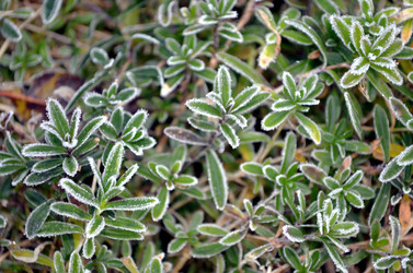 Similar image 22580327