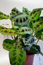 Similar image 22577574