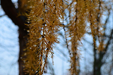 Similar image 22580328