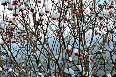 Similar image 22580329