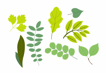 Similar image 22584096