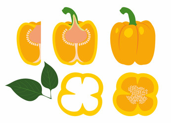 Similar image 22584127