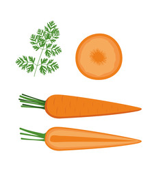 Similar image 22584137