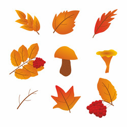 Similar image 22584157