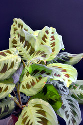 Similar image 22577544