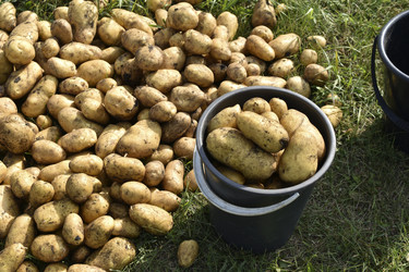 Similar image 22577794