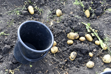 Similar image 22577795