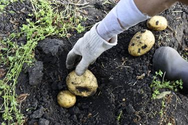 Similar image 22577797