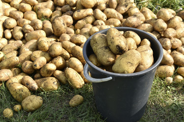 Similar image 22577798