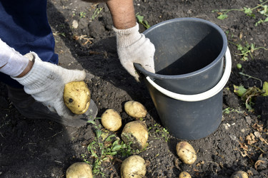 Similar image 22577799