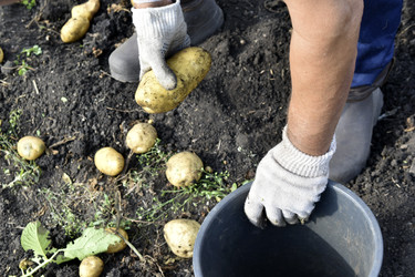 Similar image 22577800