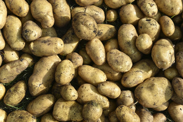 Similar image 22577801