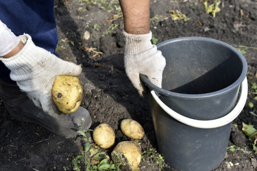 Similar image 22577803