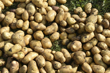 Similar image 22577804