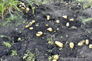 Similar image 22577805