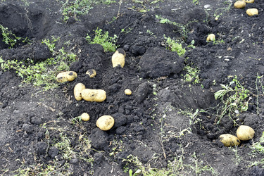 Similar image 22577806