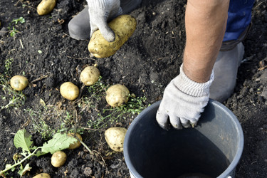 Similar image 22577807