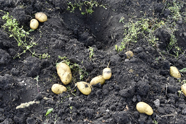 Similar image 22577808