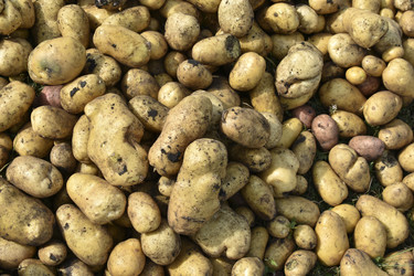 Similar image 22577809