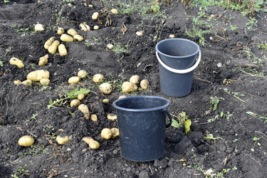 Similar image 22577810