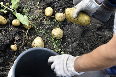 Similar image 22577811