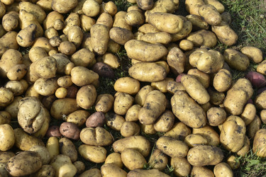 Similar image 22577812