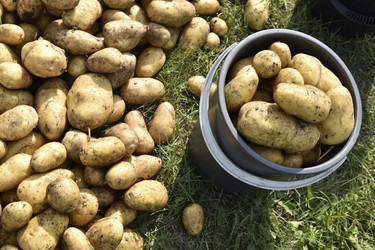 Similar image 22577813