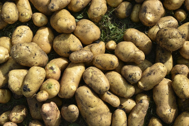 Similar image 22577814