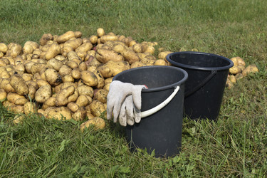 Similar image 22577815