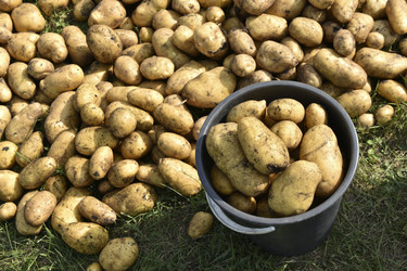 Similar image 22577816