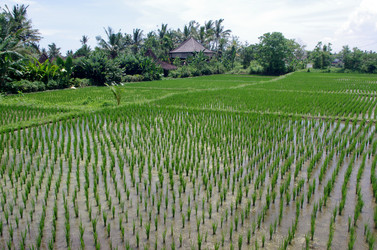 Similar image 22577594