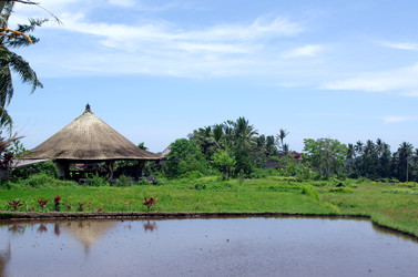 Similar image 22577595