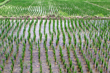 Similar image 22577596