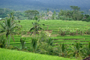 Similar image 22577597