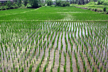 Similar image 22577598