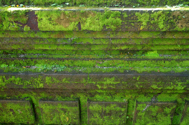 Similar image 22577599