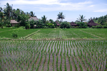 Similar image 22577600