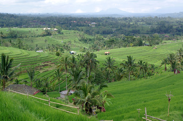 Similar image 22577614