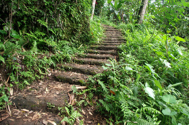 Similar image 22577616