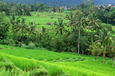 Similar image 22577617