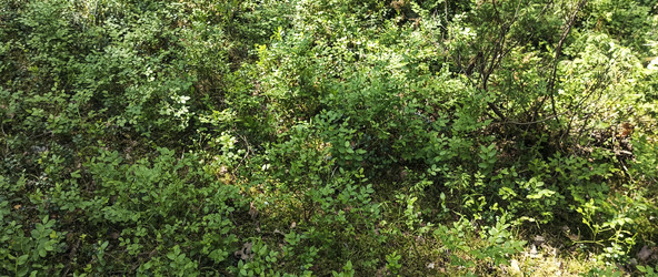 Similar image 22585415