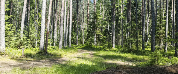 Similar image 22582153